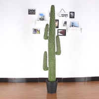 Plantes artificielles de décoration intérieure multi-styles : Cactus artificiel en pot, Plante verte artificielle, Plantes succulentes artificielles, Cactus artificiel