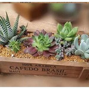 Versatile Wooden Flower <b>Planter</b> <b>Box</b>: Perfect for Plants, Toys, and Gifts! - Product Image 3