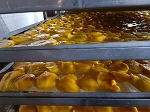 Rodaja de mango de secado suave sin azúcar orgánico de alta calidad y precio al por mayor de Vietnam - Product Image 3