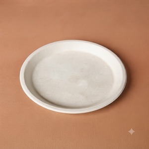 Plato Redondo de Bagazo Blanco de 10 Pulgadas, Ecológico, Biodegradable y Desechable para Restaurantes, Cafeterías, Fiestas y Entrega de Comida - Product Image 4