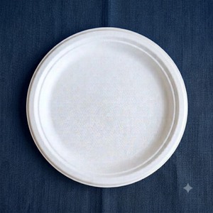 Assiette ronde en bagasse blanche de 9 pouces, jetable, en pulpe de canne à sucre, biodégradable et compostable, écologique pour les aliments - Product Image 2