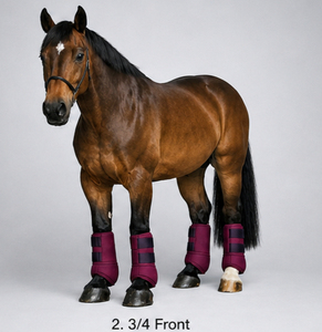 Botas de equitación medicinales de neopreno, amortiguadoras, transpirables, duraderas, protección para las piernas ecuestres, fabricante OEM - Product Image 3