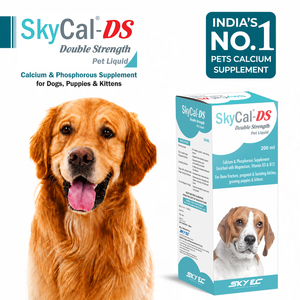 SkyEC SkyCal-DS Syrup Doble Concentración 200ml Suplemento Líquido de Calcio, Fósforo y Multivitaminas para Apoyo Inmunológico y Salud Ósea - Product Image 2
