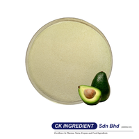 Poudre de jus d'avocat de qualité supérieure, Halal, OEM, B2B, Meilleur fournisseur garanti, Superaliment nutritif, Base pour smoothies et céréales
