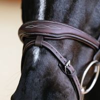 Bridon en cuir de cheval de qualité supérieure avec rênes, robuste, durable et confortable, équipement d'équitation pour l'entraînement et la compétition