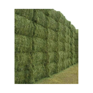 Cheap Top Quality Alfafa Hay for Animal Feeding <b>Stuff</b> Alfalfa ,hay/Timothy hay - Product Image 1