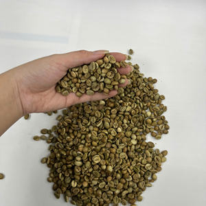 Café Vert Robusta du Vietnam Grade 1 Marque NT COFFEE pour Vente en Gros Exportation OEM Étiquette Privée Emballage Personnalisé - Product Image 4