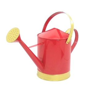 <b>Top</b> Selling Customization Handmade Garden Products Sky Blue Watering Can Gardening and Watering Plants Customized Size - Product Image 3