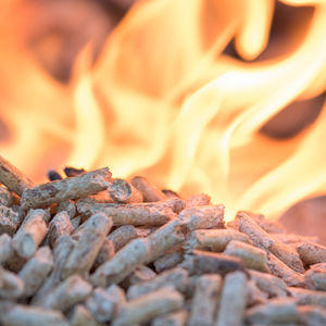 Pellets de Madera Natural de Grado Industrial para Plantas de Energía Renovable, Calderas de Calefacción y Aplicaciones Sostenibles de Biomasa - Product Image 1