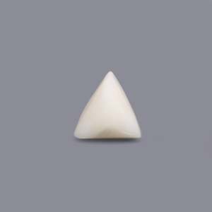 Natural White Coral Oval Cabochon 9.25 Carat Loose Gemstone 7mm Diameter Certified Wholesale - Product Image 2