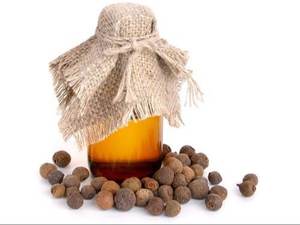 Pimento Berry Essential Oil 100% Pure | Natural Pain Relief Oil <b>Steam</b> Distilled & GMP Certified Manufacturer & Supplier - Product Image 2