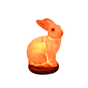 Lámpara de Sal Rosa con Forma de Animal para Decoración de Dormitorios, Fabricante con MOQ Bajo y Tiempo de Producción Rápido - Product Image 6