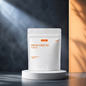 [FROM OREUM] Recharge de dentifrice solide – Articles de toilette pour chambre d'hôtel, hygiène dentaire, fournitures de voyage - Product Image 2