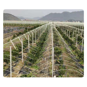 8mm Fiberglass <b>Rod</b> for Agricultural Vineyard Grape Stake - Product Image 3