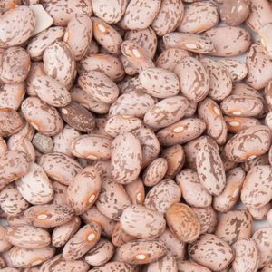 Pinto <b>Beans</b> With Rich Protein Characteristics And Fresh Agricultural Selection For International Buyer - Product Image 2