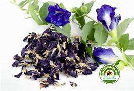 ดอกบัวแห้งสำหรับการดูแลเส้นผมตามธรรมชาติและวัตถุดิบทำสบู่ ขายส่งดอกไม้สมุนไพรคุณภาพสูงจำนวนมาก - Product Image 5