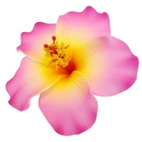 Penjualan Terlaris Sepanjang Masa, Dekorasi Fashion Ramah Lingkungan Berkualitas Tinggi, Bunga Hibiscus Hawaii Buatan Tangan dari Busa EVA, Bernuansa Tropis