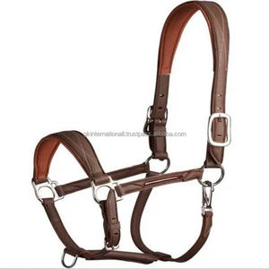 Licol de cheval en cuir rembourré léger et confortable avec boucle et anneaux en laiton à double couronne réglable - Product Image 1