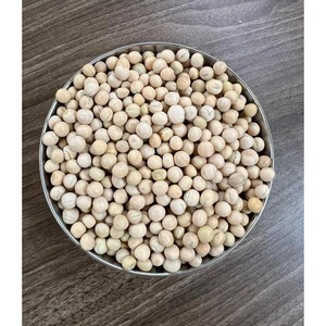 Habas Blancas: Fuente Premium de Proteína para Procesamiento de Ingredientes Alimenticios y Preparación Nutricional Rica, con Soporte para Exportación - Product Image 5