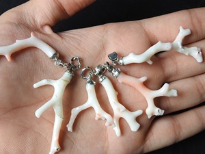 Pendentif en argent sterling 925 avec corail blanc naturel brut poli en forme de branche, bijou unique et tendance, cadeau pour elle - Product Image 3