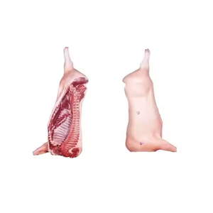 ซากหมูแช่แข็งคุณภาพสูง ตัดสองส่วน ขายส่งสำหรับส่งออก - Product Image 6