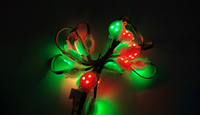 Navidad Led luz a todo color 30mm al aire libre Ip67 impermeable 12V Led Rgb Pixel Led Point Light