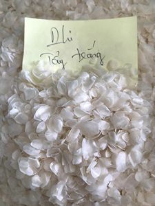 Écailles de poisson, produit tendance 2026, matière première marine naturelle du Vietnam - Product Image 3