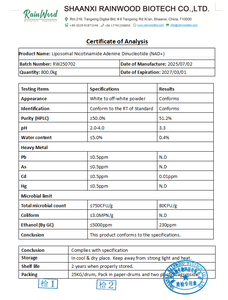 Private Label NAD capsule integratore <span class=keywords><strong>Vegan</strong></span> Nad capsule integratore Nad aggiornato integratore per un elevato assorbimento - Product Image 2