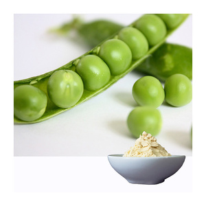 Peptides de protéines de pois en liquidation, direct usine, approvisionnement en gros, additifs à bas prix - Product Image 3