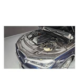 BMW Serie 7 740d XDrive M Sport Diésel Automático 2018, 176.155 km, Volante a la Izquierda, Asientos de Cuero, Emisión Euro V, Cámara Trasera - Product Image 6