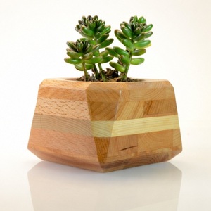 Maceta Geométrica de Madera Hecha a Mano para Suculentas, Moderna Maceta de Madera Sólida para Decoración de Escritorio, Hogar y Jardín Interior - Product Image 3