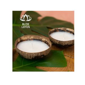BEST SELLER Bougies écologiques en coquille de noix de coco |   Bougie en Coquille Naturelle Pure et Saine en Gros - Product Image 1