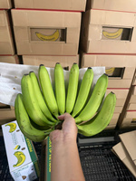 Verse Export Kwaliteit Cavendish Bananen Uit Vietnam Heerlijke Smaak En Voedingsstoffen Verpakt Voor Supermarkten En Distributeurs