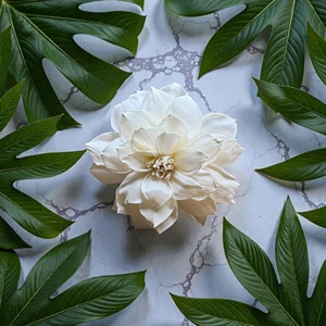 Flores de madera Sola VADEE hechas a mano, sostenibles, Dahila mini, de 8.5 cm, con varillas de fibra de planta de Sesbania de Tailandia. - Product Image 1