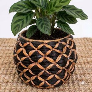 Paniers de décoration pour la maison en fibres de jacinthe d'eau – Conteneur de rangement écologique pour la maison – Vente en gros – Pot de plantes léger et durable - Product Image 3