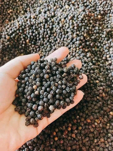พริกไทยดำเวียดนาม 500 กรัม/ลิตร 550 กรัม/ลิตร ยี่ห้อ IIGLOBAL ปลอดจีเอ็มโอ อายุการเก็บรักษา 24 เดือน สำหรับผสมเครื่องเทศนานาชาติ ปรุงรสแบบขายส่ง - Product Image 6