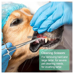 Removedor de Sarro para Perros y Gatos, Herramienta Dental Manual de Acero Inoxidable de 6 Piezas con Agarre Ergonómico para Limpieza Dental - Product Image 5
