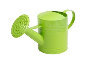 Arrosoir moderne en fer vert avec long bec, finition peinture durable, outil de jardinage, arrosoirs, outils d'arrosage de jardin - Product Image 2