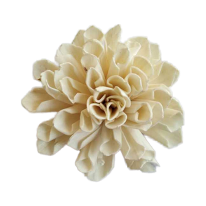 Fleurs de Dalia Sola Écologiques Artisanales de Haute Qualité pour le Festival de Mars, Vente en Gros, Durables, pour Remise de Diplôme, Halloween, Noël, DIY - Product Image 1