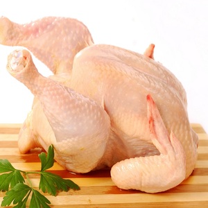 Suministro al por mayor de pollo congelado para minoristas con cortes de calidad, embalaje seguro, larga duración en almacenamiento y excelente valor de mercado - Product Image 2