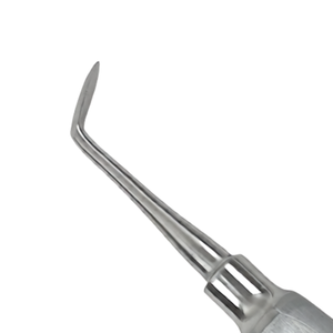 Juego de 2 Elevadores Dentales Periotomáticos Del 8 y A, Instrumentos Quirúrgicos para Extracción Dental de Acero Inoxidable - Product Image 4