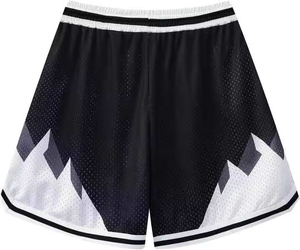 Men's Shorts Customizable Men's Basketball Shorts Quick Dry Breathable Mesh in Vintage <b>Retro</b> Style Plus Size Bulk Wholesale - Product Image 3