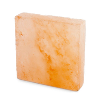 Briques de sel de l'Himalaya de qualité bien-être 2x4x8 (faites à la main, étanches, purifiantes, logo personnalisé) pour spa, thérapie, mur de sel, sauna