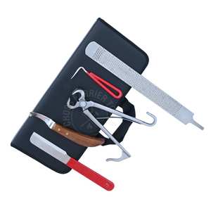 ชุดเครื่องมือช่างตัดแต่งกีบม้ามืออาชีพ พร้อมที่ตัดกีบลูกม้า ใบมีด D ที่ตัดแต่งกีบ มีดขูดกีบ ตะไบกีบ ที่แคะกีบ มีดตัดแต่งกีบแบบด้ามจับสีแดง และกล่องเก็บ - Product Image 1