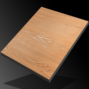 Azulejos de Porcelana Mate de Lujo de 600x600 mm, Antideslizantes y Resistentes a los Ácidos, para Paredes y Suelos Interiores - Product Image 1