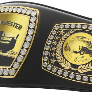 Cinturón de Campeonato al por Mayor, NUEVO Cinturón de Campeonato Mundial de Lucha Libre Ronpex International de Cuero y Latón/Zinc Personalizable - Product Image 4