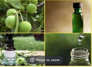 Huile de Tamanu en vrac pressée à froid, huile végétale biologique de graines de Tamanu pour soins de la peau et cosmétiques, 100 % pure - Product Image 3