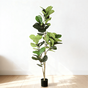 Albero di Ficus Lyrata Artificiale Real Touch da 180 cm per Interni, Casa, Ufficio, Soggiorno, Angolo Decorativo con Vaso in Plastica Nera - Product Image 2