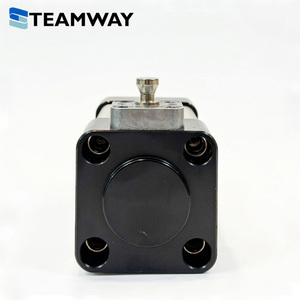 TEAMWAY BNB ซีรีส์กระบอกลมนิรภัยแบบล็อคได้, กระบอกลมป้องกันการตกขนาด 32 มม.-100 มม., กระบอกลมแบบกำหนดระยะชักได้เอง 25-500 มม. ประเภท RK/HK/RHK - Product Image 4