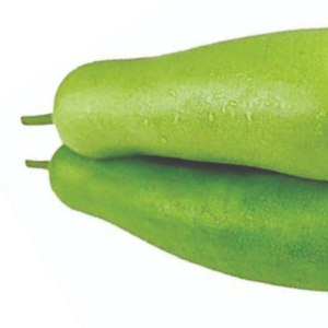 Courge en bouteille saine, légume frais, récolte verte, ingrédient culinaire, produit agricole de qualité, vente en gros, approvisionnement en vrac, exportation fraîche - Product Image 4